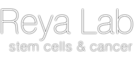 Reya Lab